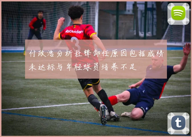 付政浩分析杜锋卸任原因包括成绩未达标与年轻球员培养不足